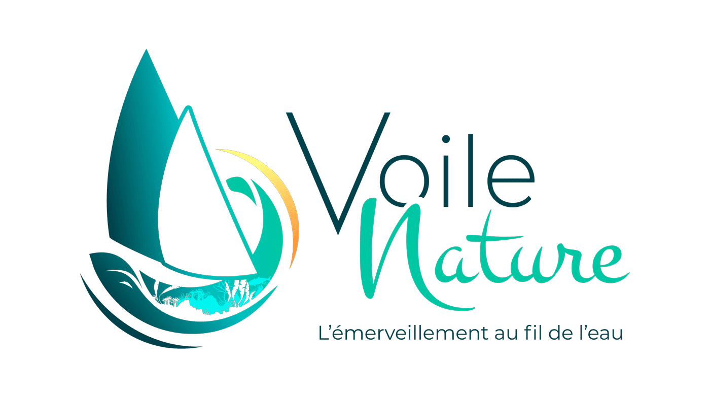 Logo combinant une voile stylisée en dégradé bleu-turquoise avec un motif de végétation marine et une vague dorée, accompagné des mots "Voile Nature" en typographie élégante et du slogan "L'émerveillement au fil de l'eau" en dessous.