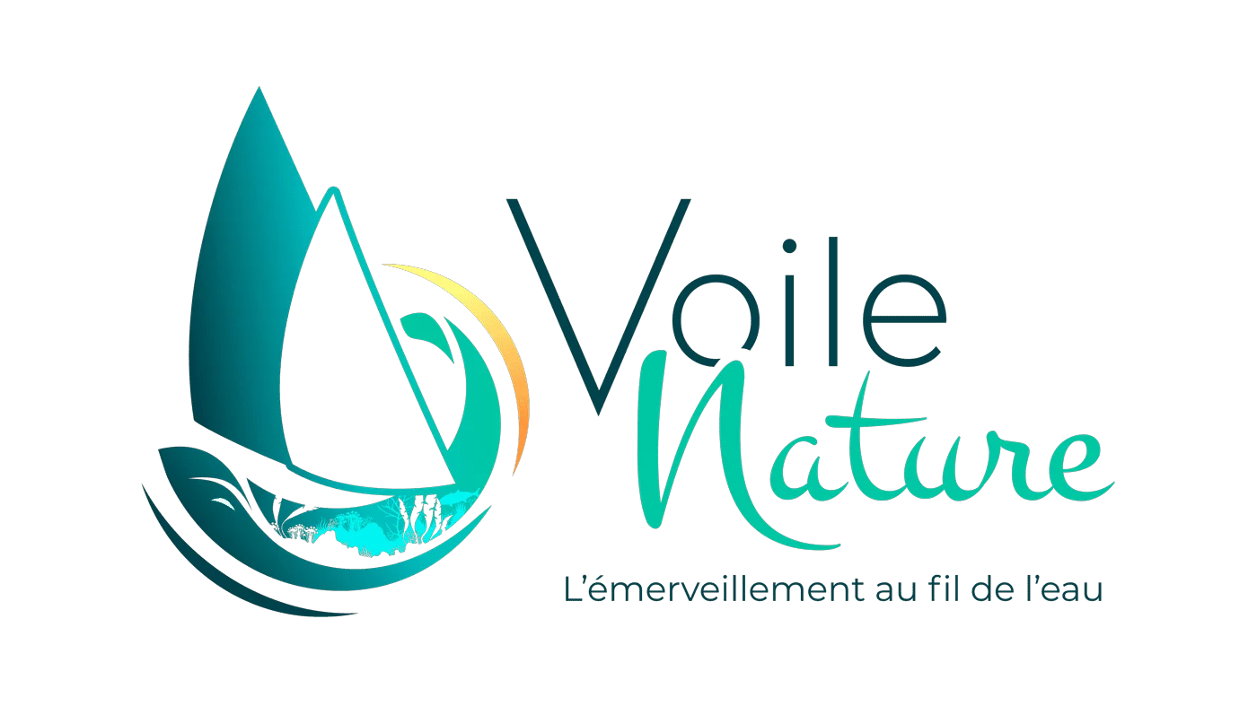 Logo combinant une voile stylisée en dégradé bleu-turquoise avec un motif de végétation marine et une vague dorée, accompagné des mots "Voile Nature" en typographie élégante et du slogan "L'émerveillement au fil de l'eau" en dessous.